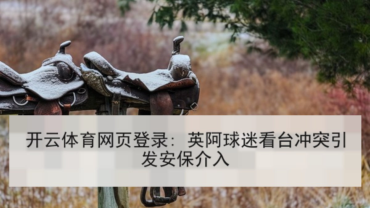 开云体育网页登录: 英阿球迷看台冲突引发安保介入
